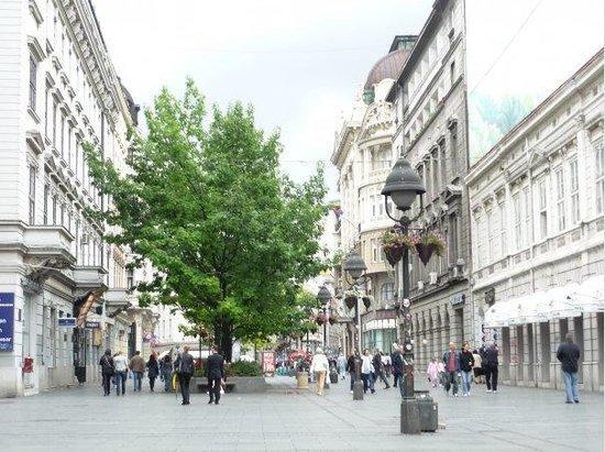 Apartment In The City Center Beograd Eksteriør bilde